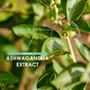 Ashwagandha Extract 5000mg – 5% Withanolides (12.5mg) – 120 Vegan