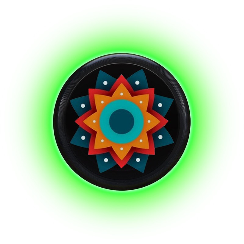 LED Light Up Adult Flying Disc with Light Strip Luminous
