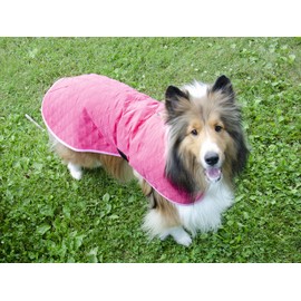 Derby Originals Hydro Cooling Dog Jacket with Harness Compatible Opening Reflects Heat and UV Cools for Hours