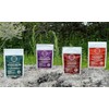 Regeneración (Agave y Alga Espirulina Orgánicos) - 60 Cápsulas