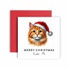 Huxters Christmas Card from the Cat – Ginger Tabby Cat