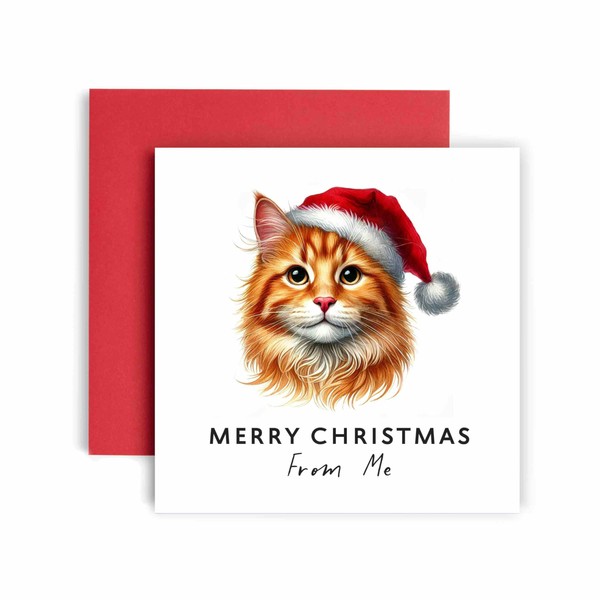 Huxters Christmas Card from the Cat – Ginger Tabby Cat