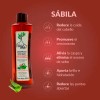 "Pack x3 Shampoo Anticaída Árbol Verde – 500 ml c/u