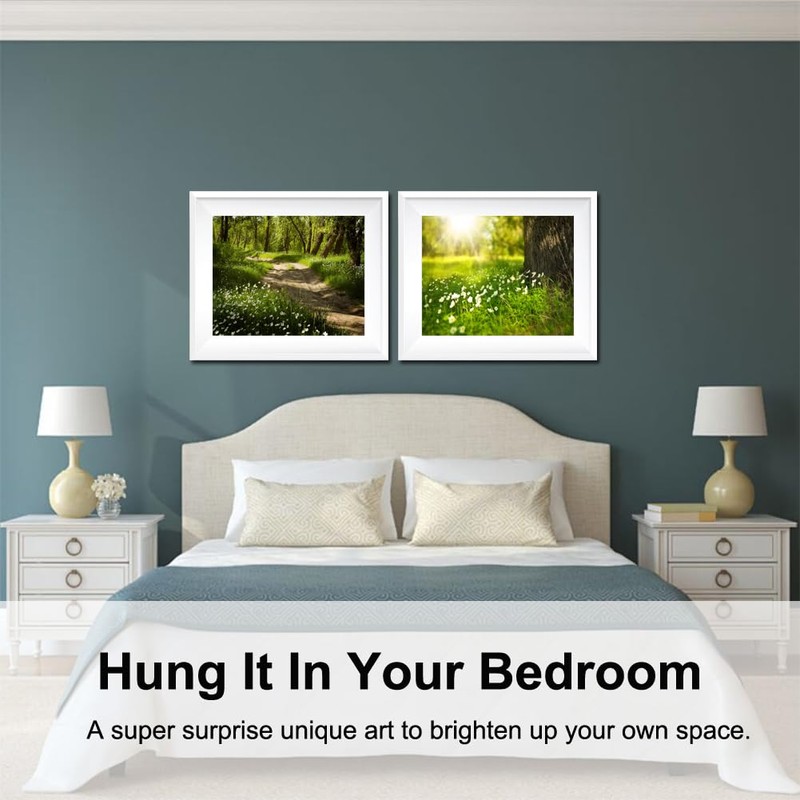 BAISITE Diamond Art Kits for Adults Beginners,2 Pack Round 5D