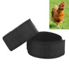 2 Pack Rooster Collar, Nylon Chicken Collar Anti Crow Rooster