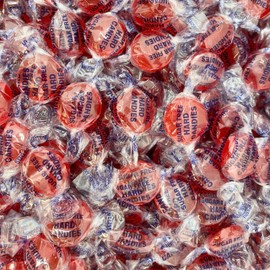 Sugar Free Cinnamon Disc Candy – 1 Pound Bulk Bag – Classic Red Spicy Flavor – Low Carb, Keto Friendly, Individually Wrapped