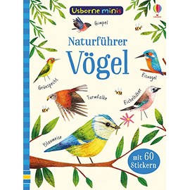 Usborne Minis - Naturführer: Vögel: Mit 60 Stickern (Usborne-Minis-Reihe)
