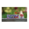 Bubble Yum Variety Pack of 6-3 Packs of Each Flavor