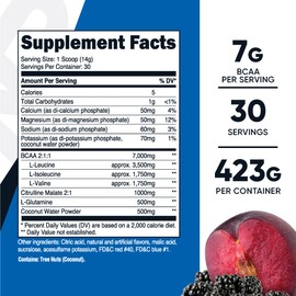 Nutricost Nutricost BCAA + Hydration Powder (BlackBerry Plum) 30 Servings - Branched Chain Amino Acids with Hydration Complex - Gluten-Free, Non-GMO