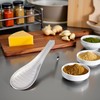 Stainless Steel Kitchen Practical Spoon Shape Fruit Mixer Ginger Grater