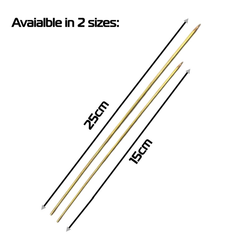 BZS WORM BAITING NEEDLES LUGWORM RAGWORM (2 X 25CM)