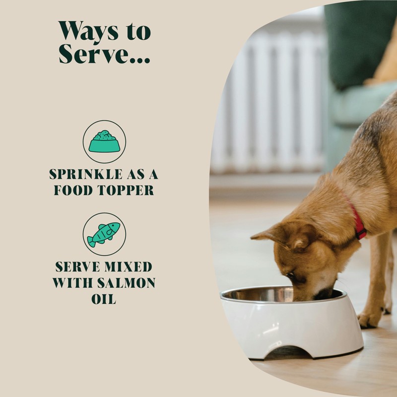 Green Lipped Mussel Powder For Dogs (100 g) | Hip