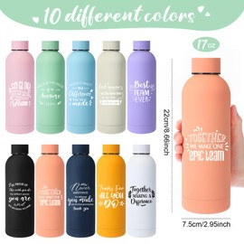 Bokon 10 Pcs Thank You Appreciation Gifts for Employee 17 oz Stainless Steel Frosted Water Bottle Inspirational Water Bottle with Box Christmas Gift for Coworker Staff Teacher Team(Inspiring)