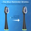 Brush Heads for Waterpik Complete Care 5.0/9.0 (4-Pack, Black)