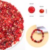 Keip Taoun Radiant Red Charm Bracelet Necklace Kit - Red
