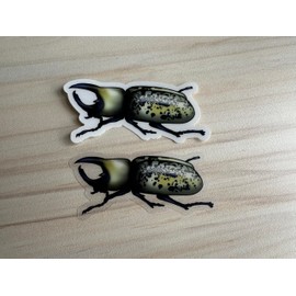 Hercules Beetle Sticker, Insect Clear Vinyl Decal, Entomology Sticker, Bug Gift