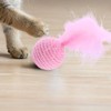 Cat Toy Ball with Feather | Kitten Training Toy -