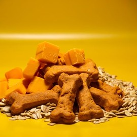 Activa 2lb Cheddar Cheese Gourmet Dog Biscuits | Crunchy Dog Treats | Cheddar Cheese Flavor Dog Treats (Medium, Cheddar Cheese)