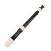8 Hole Recorder Detachable Soprano Recorder Musical Instrument with Cleaning