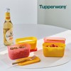 Tupperware Singsing Block Mini Rectangular 250ml 2-pack