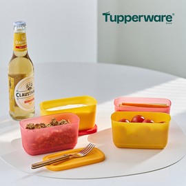 Tupperware Singsing Block Mini Rectangular 250ml 2-pack