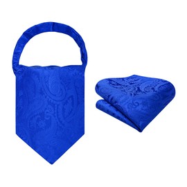 HISDERN Ascot Ties for Men Paisley Floral Ascot and Pocket Square Set Classic Self Tie Mens Cravat Handkerchief for Wedding, D-royal Blue 2, One Size