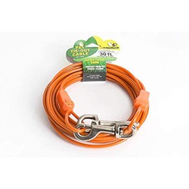 IntelliLeash Tie-Out Cables for Dogs. Lengths up to 100 Feet and Breeds of Dogs up to 250 Pounds (125 lb / 30 ft)