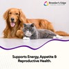 Breeder’s Edge B Strong Powder, B-Complex Vitamin Supplement for Dogs