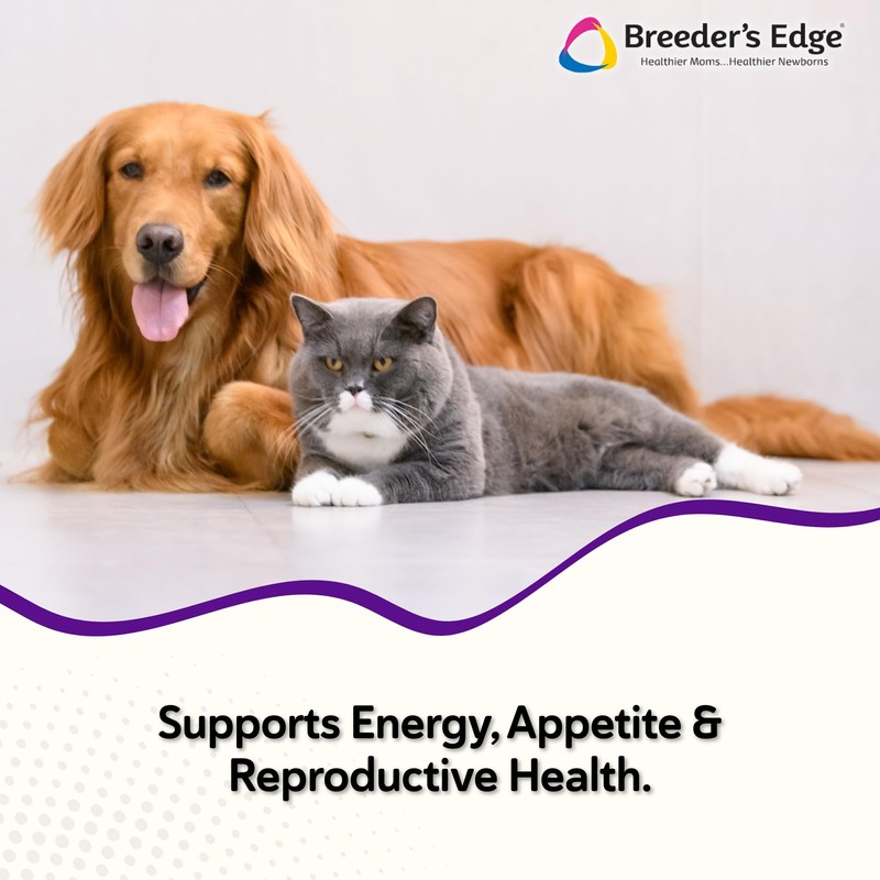 Breeder’s Edge B Strong Powder, B-Complex Vitamin Supplement for Dogs