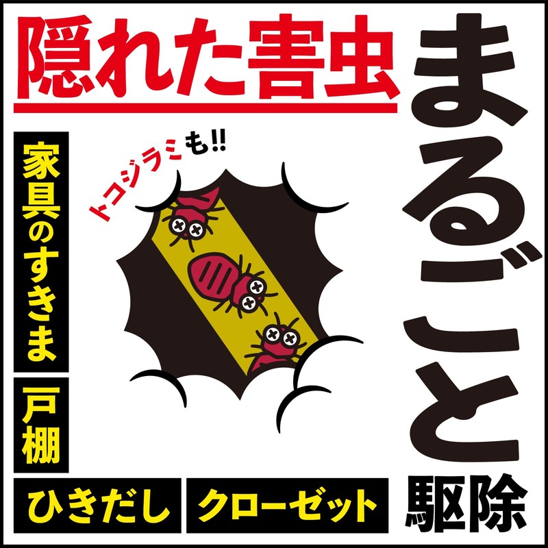 【第2類医薬品】アースレッド プロアルファ 6~8畳用 3個