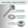 DSM - Carriage Bolts M6 x 80mm DIN 603 -