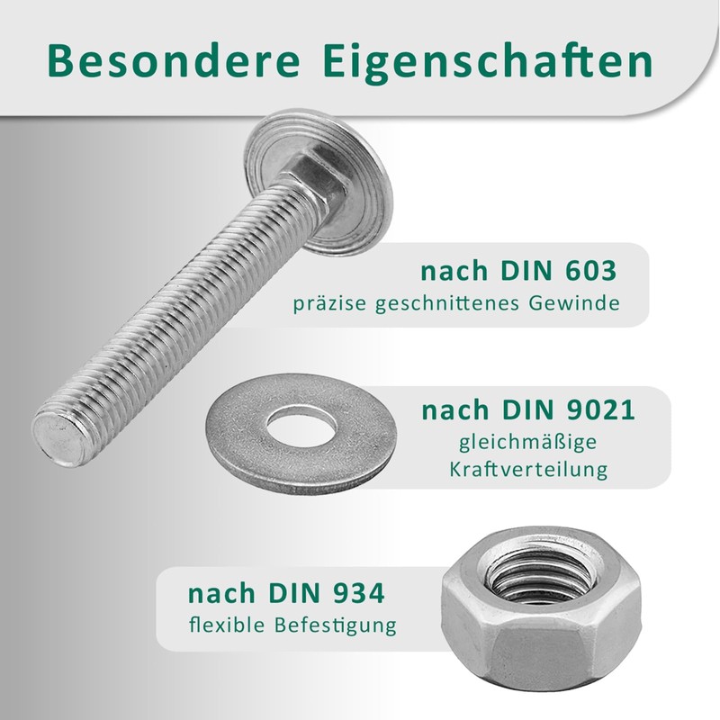 DSM - Carriage Bolts M6 x 80mm DIN 603 -