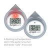 Angelcare Bath and Room Thermometer - Happy Seal, Grey, One
