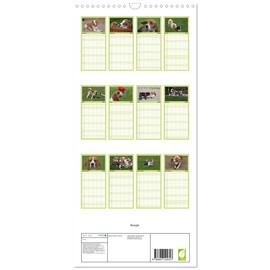 Family Planner 2025 - Beagle with 5 Columns (Wall Calendar, 21 cm x 45 cm) CALVENDO