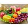 Plenty of Fruit, Model Fruit, Foodstuff Sample, 15 Variety Set,