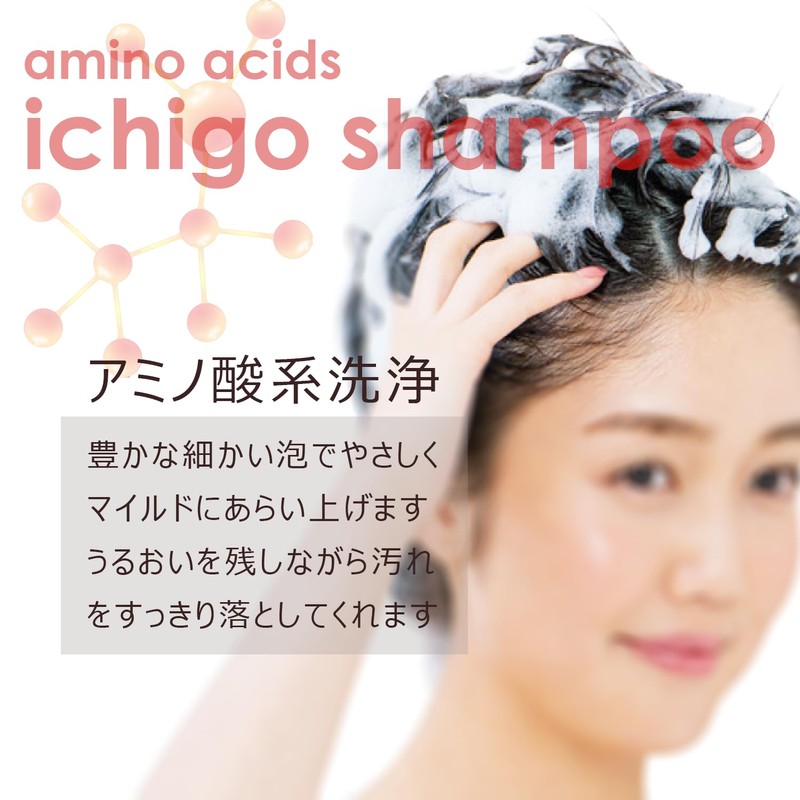 Strawberry Shampoo Treatment, Pouch Set, Salon Quality, Amino Acids, Gentle