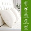 AVARNO Bamboo Rayon Pillow Protectors with Hidden Zipper Queen Size