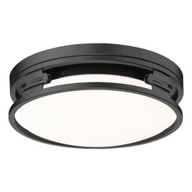 Luminzone 12 Inch Black Flush Mount Light Fixtures 12W LED Ceiling Light 5CCT Dimmable Close to Ceiling Lighting Fixtures for Bedroom, Laundry Room, Bathroom, Kitchen, Entry (3000K-6500K)