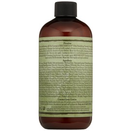 WEN by Chaz Dean Six Thirteen Ultra Nourishing Cleansing Treatment, 12 Fl Oz