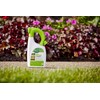 Scotts 3-in-1 Moss Control Ready-Spray, Fast-Acting Moss Killer for Lawns,