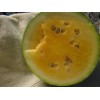 Unbranded Heirloom Melon & Squash Garden Collection-Org