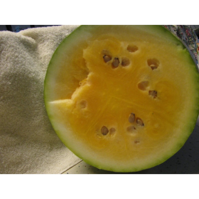 Unbranded Heirloom Melon & Squash Garden Collection-Org