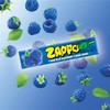 Zappo Sour Flavored Chews Packs (10 Pack, Mix)