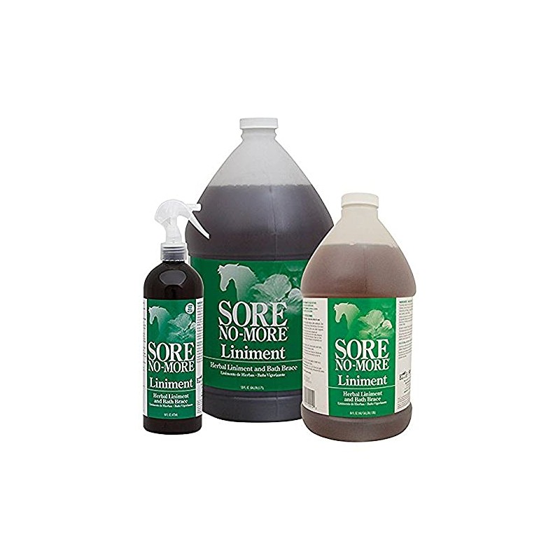 Sore No More Liniment Bottle with Sprayer (16-Ounce)