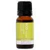 ECO. Modern Essentials Lemongrass Pure Essential Oil, 10ml