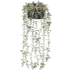 Mkono Fake Hanging Plants in Farmhouse Galvanized Pots Rustic Faux Potted Eucalyptus Greenery Indoor Artificial Plants for Book Shelf Mantel Living Room Bathroom Bedroom Home Office Decor (1, Black)