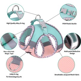 AIITLE Small Dog Harness, No-Pull Pet Harness with a Leash, Step in Adjustable Dog Harness with Quick-Release Buckle, Reflective Outdoor Pet Vest for Extra Small Dogs and House Cats Turquoise-Pink XXS