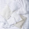 Bucky 100% Buckwheat Filled Pillow Collection, Standard, 23x16", Natural Twill