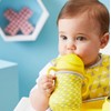 b.box Limited Edition Sippy Cup with Weighted Straw and Easy