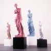 TOPBATHY 1pc Resin Ornaments - Aphrodite & Male Figurines -